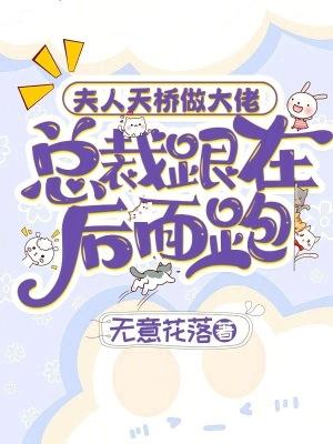 夫人天桥做大佬,总裁跟在后面跑