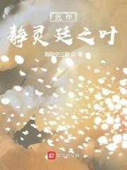 死神:静灵廷之叶